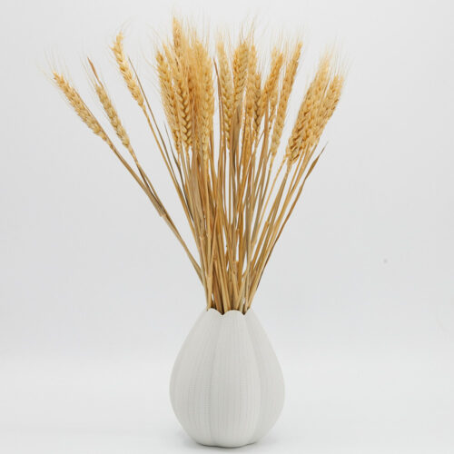 Vase product photoshoot for props on a white background by Isa Aydin nj ny la